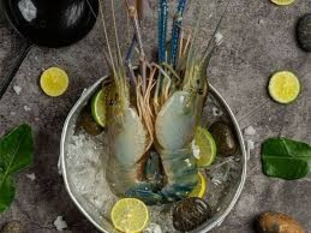 Golda Chingri / Jumbo Prawn (16/20 pic) 1 kg